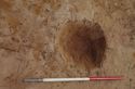 Thumbnail of Pit 1239