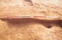 Thumbnail of Pit 1266