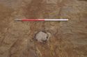 Thumbnail of Pit 1320