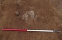 Thumbnail of Pre-ex General Working Shot of Pit 1326 and context 1325 with heat affected stones