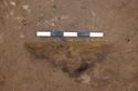 Thumbnail of Cremation grave 1329