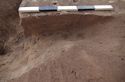Thumbnail of Cremation grave 1329