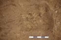 Thumbnail of Cremation grave 1329