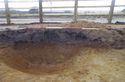 Thumbnail of Pit 1389, Pit 1391