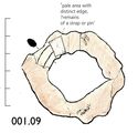 Thumbnail of Image of Find 1.09: Ring