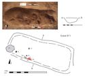 Thumbnail of Plan of Grave 11: Sawcliffe I