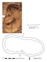Thumbnail of Plan of Grave 12: Sawcliffe I