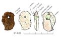 Thumbnail of Image of Find 14.03: Unidentified object