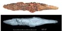 Thumbnail of Image of Find 25.07: Knife