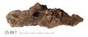Thumbnail of Image of Find 25.09: Wood