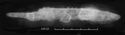 Thumbnail of Image of Find 30.02: Knife