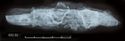 Thumbnail of Image of Find 32.02: Knife