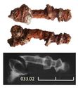 Thumbnail of Image of Find 33.02: Unidentified object