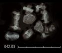 Thumbnail of Image of Find 42.03: Rivet