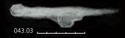 Thumbnail of Image of Find 43.03: Spatulate implement