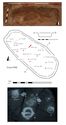 Thumbnail of Plan of Grave 46: Sawcliffe II