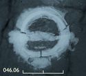 Thumbnail of Image of Find 46.06: Brooch, annular