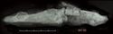 Thumbnail of Image of Find 47.02: Knife