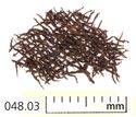 Thumbnail of Image of Find 48.03: Textile