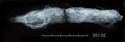 Thumbnail of X-ray of Find 51.02: Knife