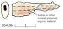 Thumbnail of Image of Find 54.06: Unidentified object