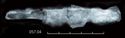 Thumbnail of Image of Find 57.04: Knife