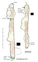 Thumbnail of Image of Find 59.04 Complex