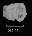 Thumbnail of Image of Find 62.02 Buckle and plate
