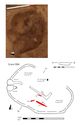 Thumbnail of Plan of Grave 66: Sawcliffe II