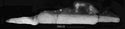 Thumbnail of Image of Find 66.02 Seax with scabbard fittings