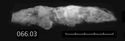 Thumbnail of Image of Find 66.03 Knife