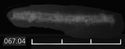 Thumbnail of Image of Find 67.04 Wire