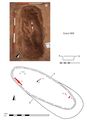 Thumbnail of Plan of Grave 69: Sawcliffe II