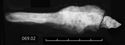 Thumbnail of Image of Find 69.02 Knife