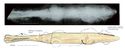 Thumbnail of Image of Find 75.01 Spearhead