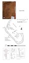 Thumbnail of Plan of Grave 76: Sawcliffe I