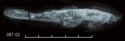 Thumbnail of Image of Find 81.02 Knife