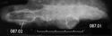 Thumbnail of Image of Find 87.01 Knife