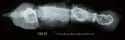 Thumbnail of Image of Find 104.01 Knife