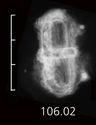 Thumbnail of Image of Find 106.02 Buckle and plate