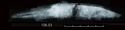 Thumbnail of Image of Find 106.03 Knife