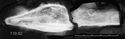 Thumbnail of X-ray of Find 110.02 Knife