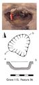 Thumbnail of Plan of Grave 113: Sawcliffe II