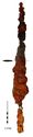 Thumbnail of Image of Find 117.01 Spearhead