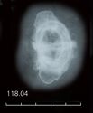 Thumbnail of X-ray of Find 118.04 Buckle and pin