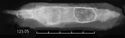 Thumbnail of Image of Find 125.05 Knife