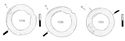 Thumbnail of Image of Find 1719, 1720, 1721 Brooch, annular