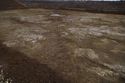 Thumbnail of 110490_to_110498_Mitigation_Image_0041, General Watching Brief area P, pre-excavation, linear, view from south-south-west.