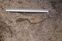 Thumbnail of 110490_to_110498_Mitigation_Image_0594, Set Piece Excavation area 2, iron knife blade (object 28) in fill 2118 of ditch 2117 (part of group 2322), from west.