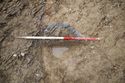 Thumbnail of 110490_to_110498_Mitigation_Image_0843, Set Piece Excavation area 4, plan view of 4213, from west.